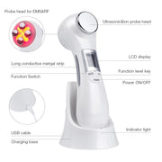 6 in 1 LED skin massage beauty instrument